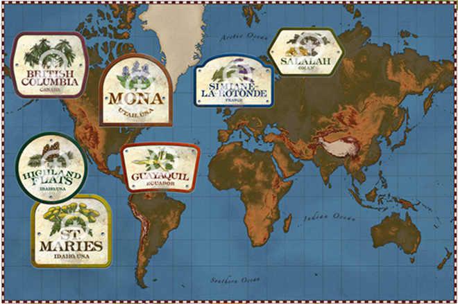 FARMY YOUNG LIVING | magia-urody.pl FARMY YOUNG LIVING | magia-urody.pl